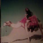 Jo Meadows - @camel_trekking_through_life - Instagram