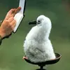 jo meadows - @jo.meadows0 - TikTok