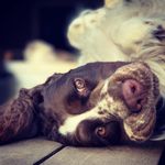 Jo Meadows Photography - @jo_meadows_photography - Instagram