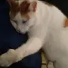 jomeadows93 - @jomeadows93 - TikTok