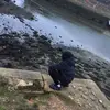 joemorrison - @joe.morrison_ - TikTok