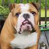 Jomorrison - @jomorrison6157 - TikTok