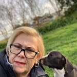 Jo Munro - @graysongreatdane - Instagram