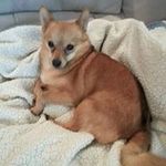 Barbara Jo Newberry - @bjonew - Instagram