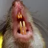 Joe Newberry - @joe.newberry7 - TikTok