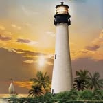 Carol A. Newcomb Johnson - @carolnewcombjohnson - Instagram