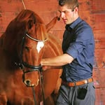 Joseph Newcomb - @josephnewcombdressage - Instagram