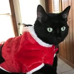 Jo Noonan - @scotchdiva - Instagram