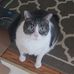 Jo-Ann Perdue - Facebook