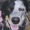 Rebecca Jo Petersen - @rebeccajopetersen - TikTok