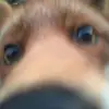 🍄Porter Jo🪺 - @porter.jo3 - TikTok