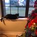 Jo Anne Posey - Facebook