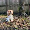 Josie Posey 💕🐶🎀 - @josie_posey28 - TikTok