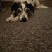 Jo Powell - Facebook