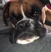 Jo Powell - Facebook