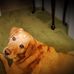 Joel Puckett - Facebook