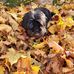 Jo Purvis - Facebook