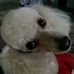 Jo Purvis - Facebook