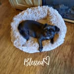 Jo Ramey - @joramey1955 - Instagram