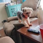 Jo Ramey - Facebook