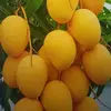 80ZOZO 🍆🍆 - @raymond.jovhanny - TikTok
