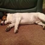 Jo Reed - @joreed555 - Instagram