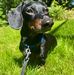Joseph Reeder - Facebook