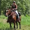 Julene Eddings36 - @rhoadsjo - TikTok