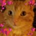 Joanne Richey - Facebook