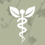 joRoots Wellness - @joroots.wellness - Instagram