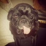 Jo Ross - @hesta.nesta.1968 - Instagram
