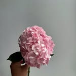 @joroweflorals - Instagram