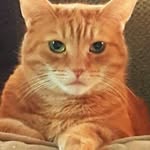 Jorush - @jorush123 - Instagram