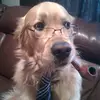 jossa - @jossa.ms - TikTok