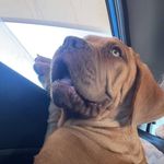 Jo Selway - @jo.sands.14418 - Instagram