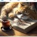 Jo Schmitz - Facebook