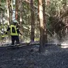 Jo Schmitz - @t.rollen - TikTok
