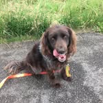 Jo Schmitz - @jo170903 - Instagram