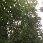 Jo Schwarz - @schusojs - Instagram