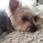 jo hill - @josellers18 - Instagram