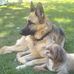 JO Shaw - Facebook