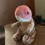Joseph Shearer - @joeshearer13 - Instagram