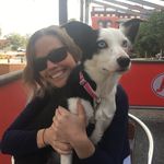 Jo Sheehan - @lilmissjosie84 - Instagram