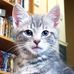 Joyce Shoesmith - Facebook
