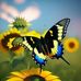 Jo Smith - Facebook