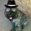Jo Stapleton - @jo.stapleton4 - TikTok