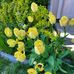 Jo Stearns - Facebook