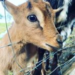 Jo Stratton - @jostratton123 - Instagram