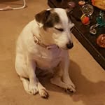 Jo Strickland - @strickland1737 - Instagram