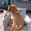 Jo Strickland - @jo.strickland0 - TikTok
